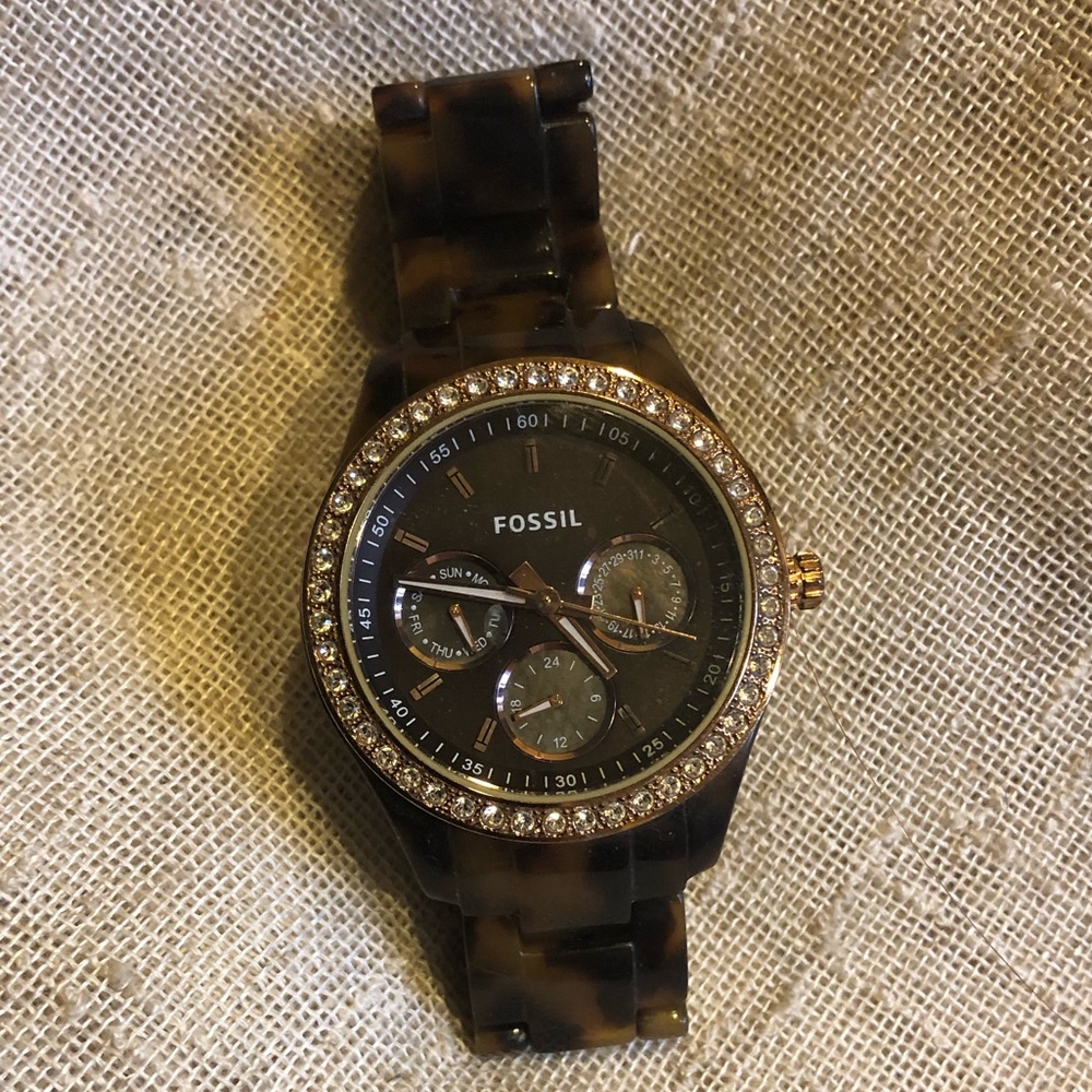 Tortoise Fossil Watch